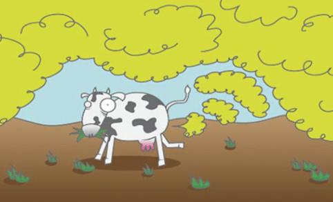 cow fart